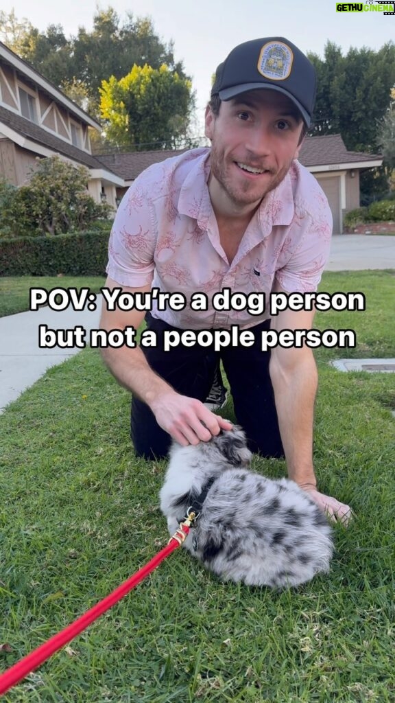 Brandon Calvillo Instagram - POV: You’re a dog person but not a people person (IB: @ian.brownhill )