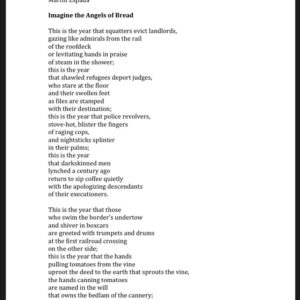 Brandon Flynn Instagram - I know I’m not alone. I know plenty of us have been waking up with a despair, an overwhelming anxiety, an inner alarm that is persistent, a desire to get closer to truth and a pain that we have been steered into so many distracting dark corners. As skies fill with ash, as people continue to be murdered by police, as a virus continues to kill; our days filled with friction. The tension of Tragedy and Hope. I wanted to share this poem with you all that was shared with me. Martín Espada reminded me, along with countless entities in my life, that our imaginations are not imprisoned property, our imaginations are free, the decision is our own to activate it and to make it reality. 
And yes, I lured you in with a picture of me in Bed, but please swipe and read and be inspired.  This could be the year.