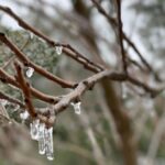 Brené Brown Instagram - In Austin to work on new research. Electricity has been out for 15 hours. It’s 25 degrees outside.⁣ ⁣ You can hear the trees moaning as they fight to hold the weight of the ice. I have on two pairs of leggings and all the socks I can find. ⁣ ⁣ But my morning decaf is happening. ⁣ ⁣ Y’all stay safe and warm. If you are able, donate to the places helping people right now. ⁣ ⁣ Texans can handle 100 degree summers with 80% humidity. We know how to prepare for hurricanes. But we really don’t do this.
