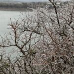 Brené Brown Instagram - In Austin to work on new research. Electricity has been out for 15 hours. It’s 25 degrees outside.⁣ ⁣ You can hear the trees moaning as they fight to hold the weight of the ice. I have on two pairs of leggings and all the socks I can find. ⁣ ⁣ But my morning decaf is happening. ⁣ ⁣ Y’all stay safe and warm. If you are able, donate to the places helping people right now. ⁣ ⁣ Texans can handle 100 degree summers with 80% humidity. We know how to prepare for hurricanes. But we really don’t do this.