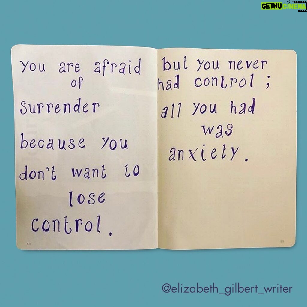 Brené Brown Instagram - Damn. My dear friend @elizabeth_gilbert_writer sees me. Her journal pages may need to come with warning labels. ⁣ ⁣ I had the same gut-punch-bear-hug feeling when my therapist told me that I needed to work on my "Let go and let Brené" approach to life. ⁣ ⁣ "Ouch and thank you" at the exact same time. ❤️