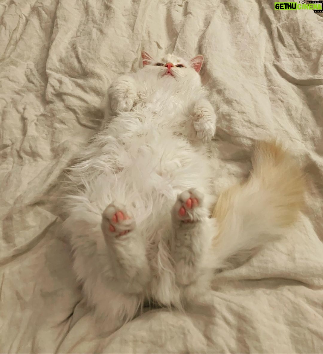 Brenda Song Instagram - Mood today. #lazysantasunday