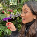 Brenda Song Instagram - Life lately continued. Butterfly gardens. Sunsets. @sdzsafaripark . Birthdays. Sound on. What happens when I try to take selfies nowadays. Flowers.