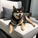 Brenda Song Instagram - Happy Friday!