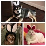 Brenda Song Instagram - Happy Easter from our family to yours!