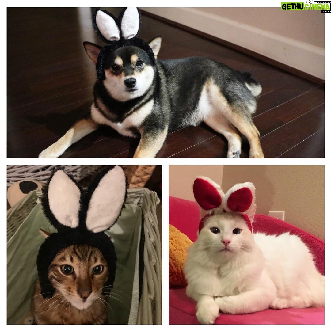 Brenda Song Instagram - Happy Easter from our family to yours!