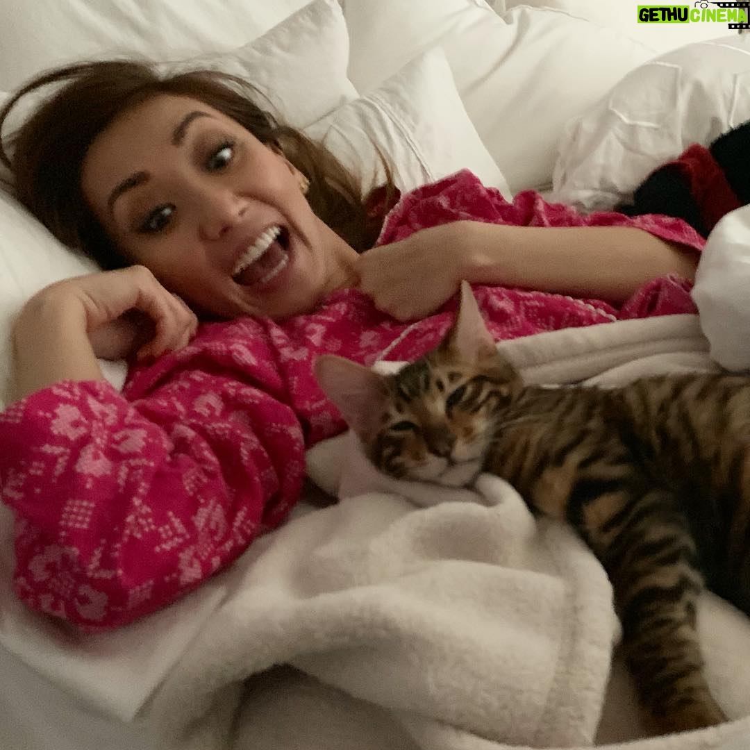 Brenda Song Instagram - I was only a little excited about Dude napping with me.