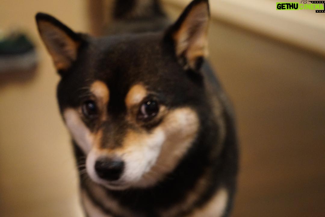Brenda Song Instagram - Happiest 9th birthday my Princess Pandy! I love you so much my sweet girl! Thanks for putting up with me. I’m so lucky to be your mama.