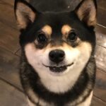 Brenda Song Instagram - Happiest 9th birthday my Princess Pandy! I love you so much my sweet girl! Thanks for putting up with me. I’m so lucky to be your mama.