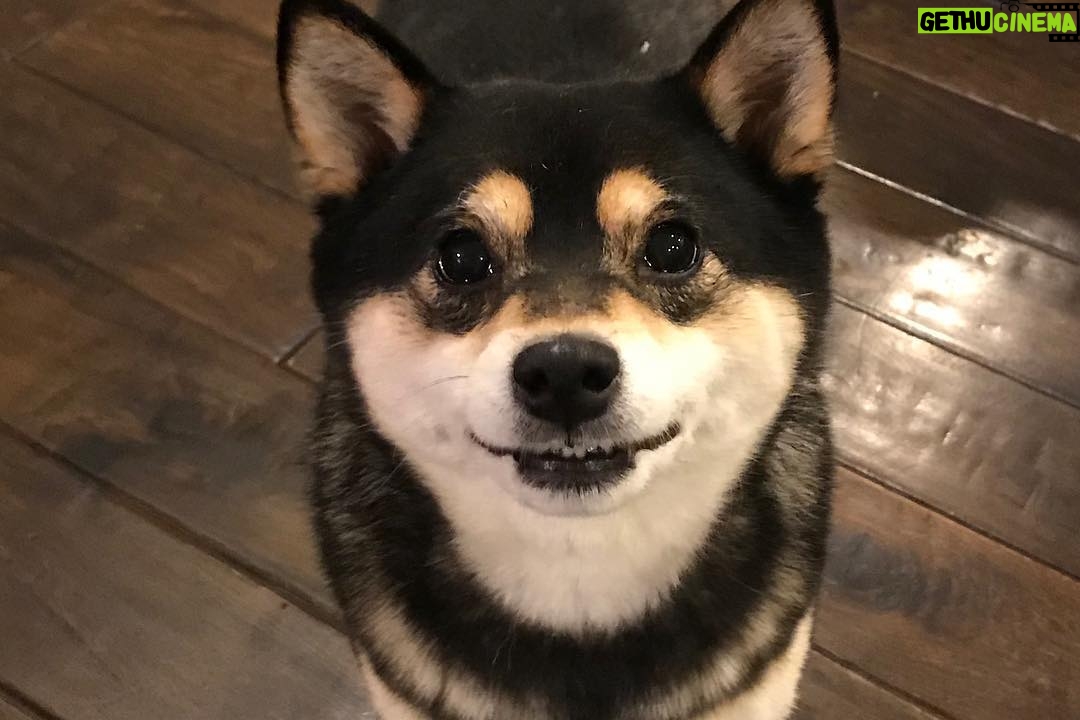 Brenda Song Instagram - Happiest 9th birthday my Princess Pandy! I love you so much my sweet girl! Thanks for putting up with me. I’m so lucky to be your mama.