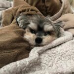 Brenda Song Instagram - Current mood haha