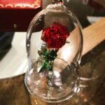 Brenda Song Instagram - My very own #enchantedrose 🥀 thank you all for the amazing birthday wishes!!! Means so much to me ❤❤❤