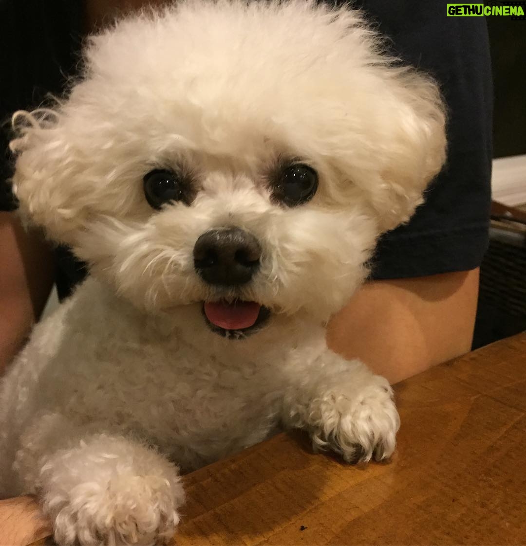 Brenda Song Instagram - Had to post this ridiculously cute photo of my first born Teddy lol #nofilter needed for him! Haha