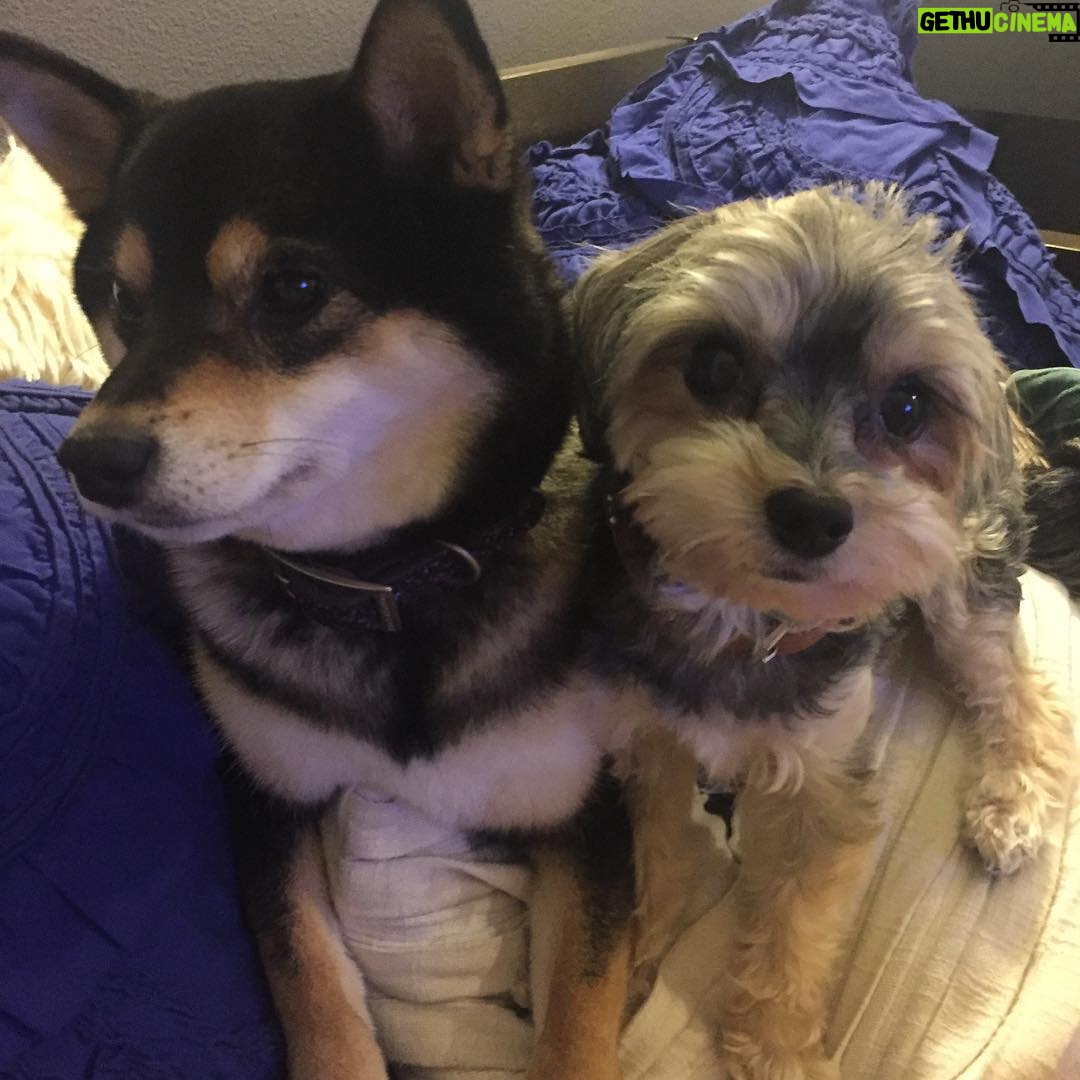Brenda Song Instagram - The definition of unconditional love❤️