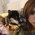 Brenda Song Instagram - Hahaha Jack squeezing in on my cuddles with Panda😂❤️