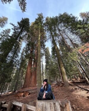 Brenna D'Amico Instagram - Go see the Sequoias…immediately✨