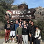 Brenna D’Amico Instagram – Go see the Sequoias…immediately✨ Sequoia National Park, California