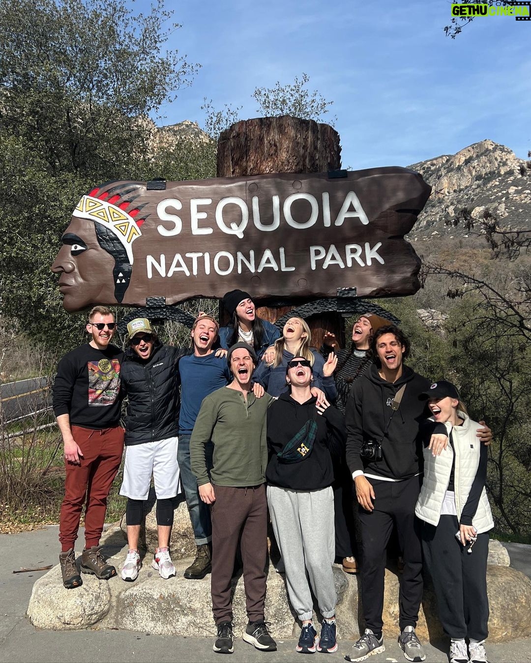 Brenna D'Amico - 3 Likes - Go see the Sequoias…immediately✨