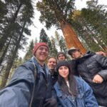 Brenna D’Amico Instagram – Go see the Sequoias…immediately✨ Sequoia National Park, California