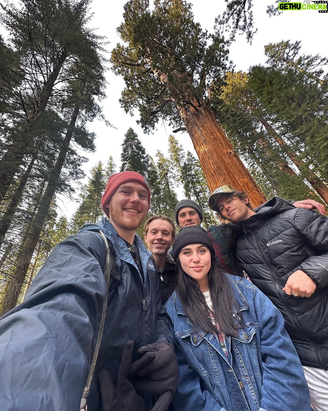 Brenna D'Amico Instagram - Go see the Sequoias…immediately✨ Sequoia National Park, California