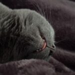 Brian Quinn Instagram - Current mood