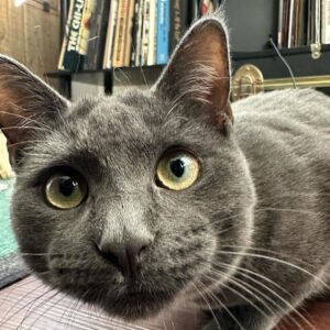 Brian Quinn Instagram - Boris has rizz.
