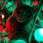 Brian Quinn Instagram - Boris got into the Christmas tree. Boris knocked down the Christmas tree. No more Christmas tree.