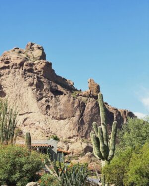 Brian Quinn Instagram - Not bad, Arizona.