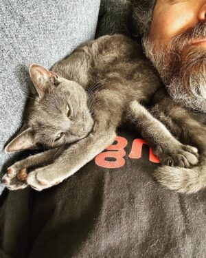 Brian Quinn Instagram - Resistance is futile.