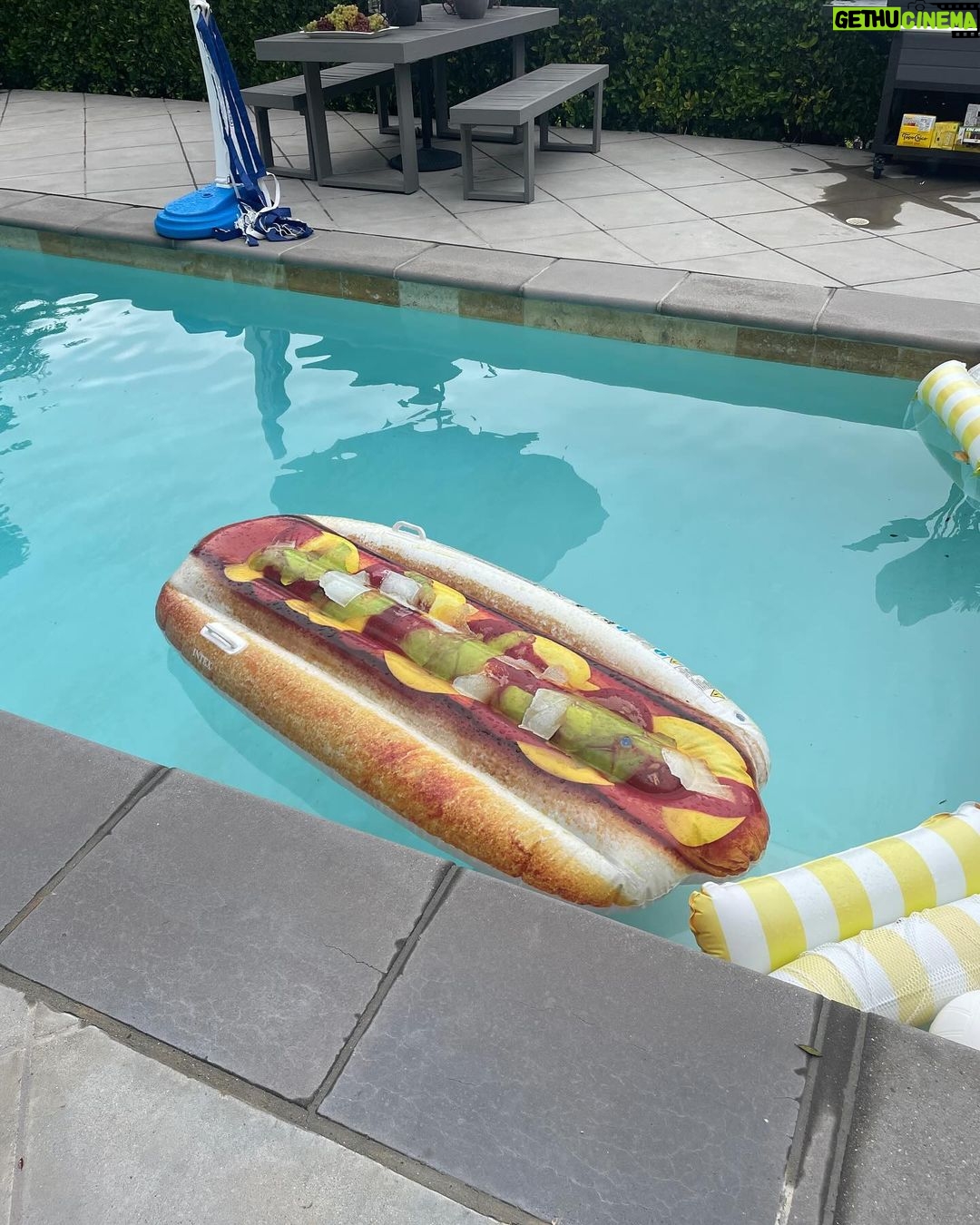 Brie Larson Instagram - I’m late to post about the 2nd annual family Hot Dog Festival (yes this is a real thing!!!). It is one of the greatest days of the year - because it means lot of dogs with @potatorolls bun!! Now tell me… What toppings are you going with? 🌭