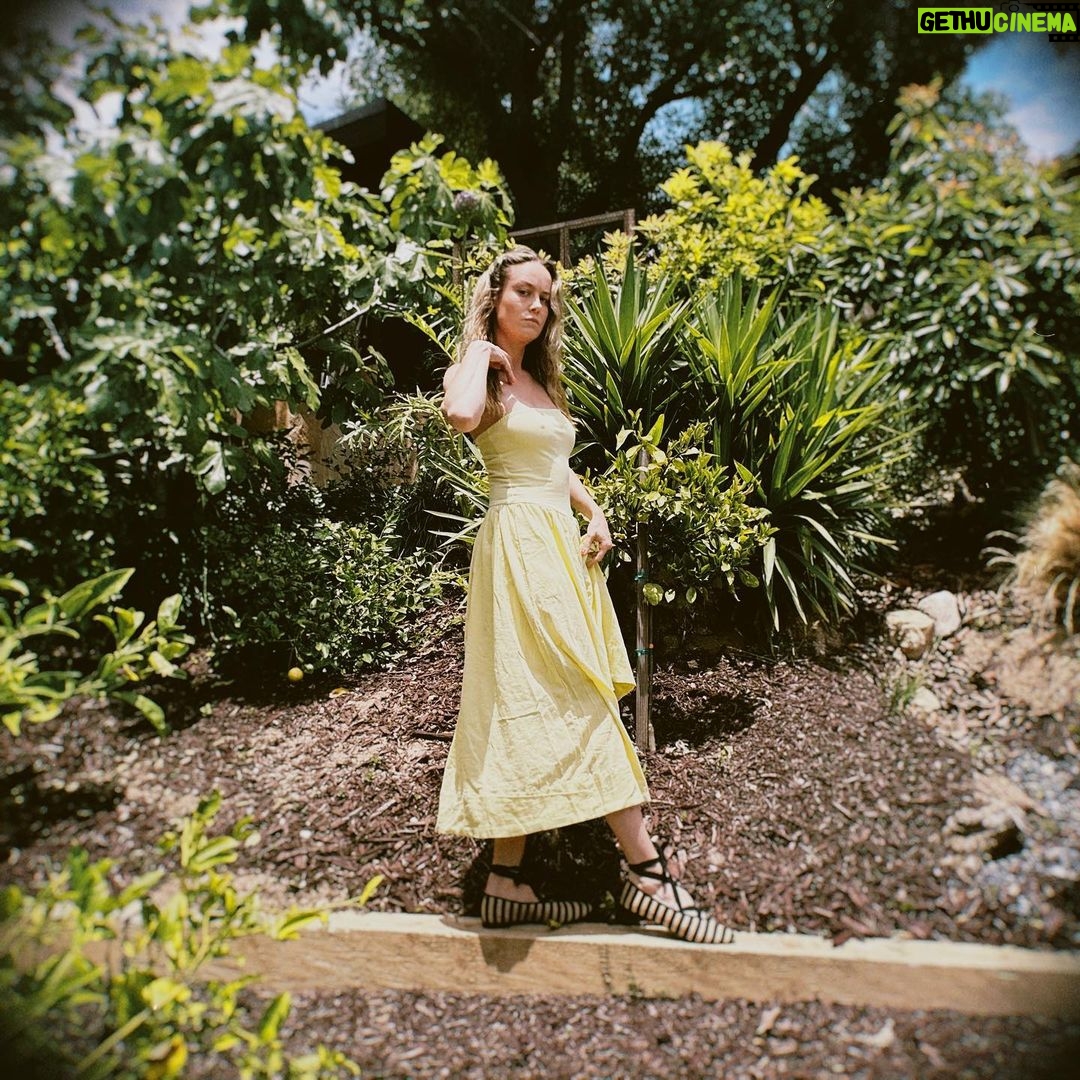 Brie Larson Instagram - Sometimes you gotta change your fantasy and dance in the backyard.