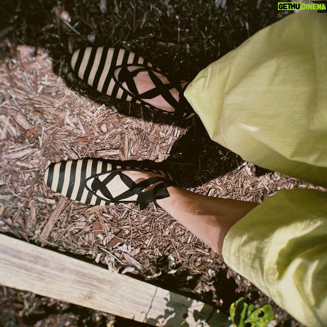 Brie Larson Instagram - Sometimes you gotta change your fantasy and dance in the backyard.