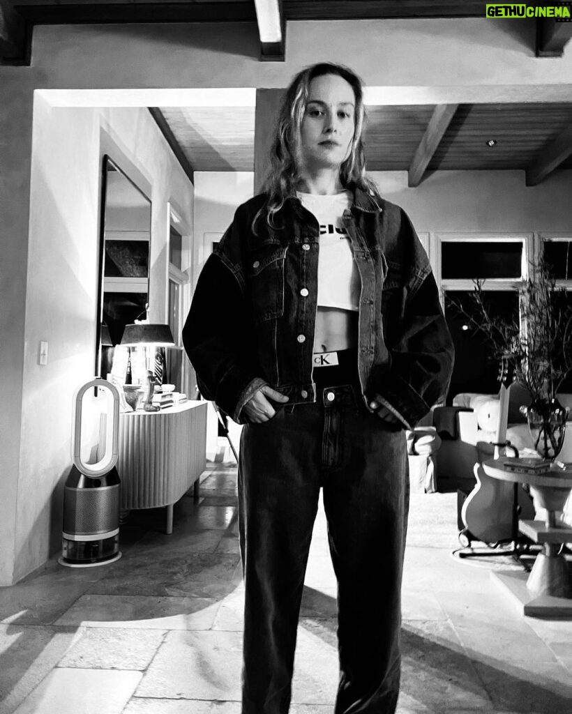 Brie Larson Instagram - The air purifier really rounded out the fit 🤌