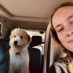 Brie Larson Instagram - Me and Six Thirty say thank you @goldenglobes for today’s nominations!! So proud of this cast and crew 😭 This show and Elizabeth Zott has my heart!!