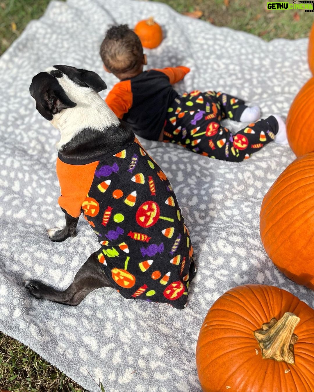Brittany Renner Instagram - The Pumpkin King 🎃