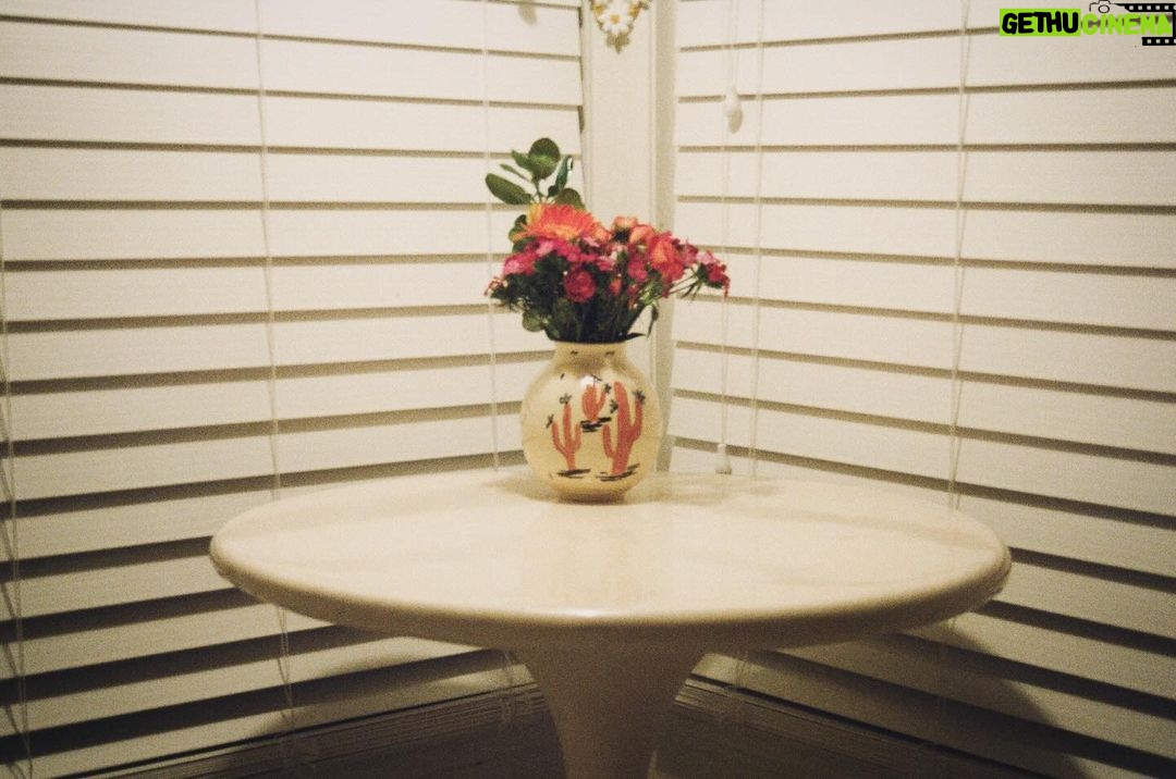 Brittany Snow Instagram - My talented beautiful friend @laurenwithrow is a master photographer but has taken the time to (try and) teach me. I was lucky enough to turn the camera around on her for a change & use some fun cameras / vintage film. đď¸