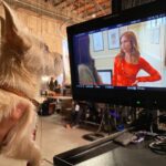 Brittany Snow Instagram - Todays work picture is very important