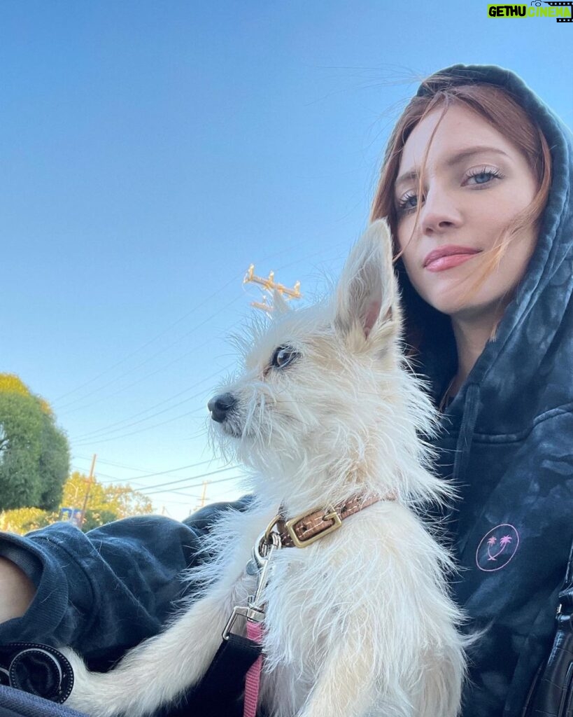 Brittany Snow Instagram - Not a hair out of place 🐾
