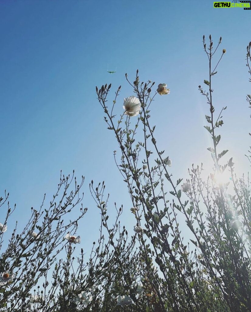 Brittany Snow Instagram - The no bummer summer 🍦