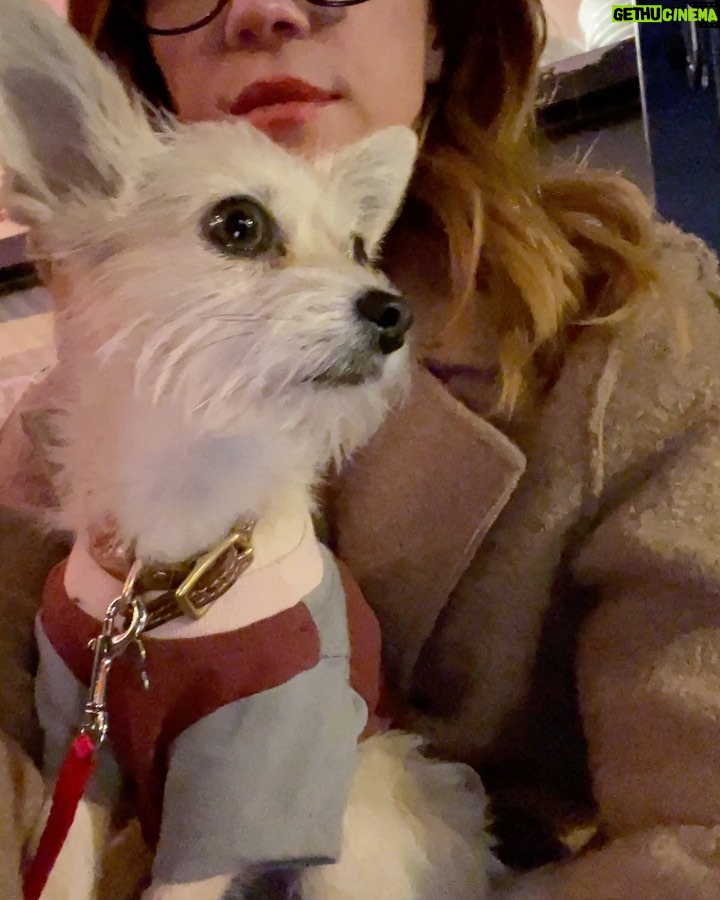 Brittany Snow Instagram - editing in NYC the past few weeks. 🍂 My immune system hates the season change, the basic in me loves it, Charlie is still pretty pissed about the sweater.