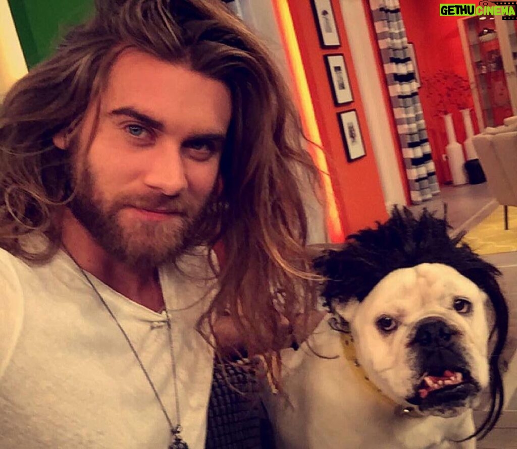 Brock O'Hurn Instagram - Made a famous friend here on the morning show in Germany and she has better hair than me! 😂 Lotte! 🐶 How cute is she?! ❤️ 😏