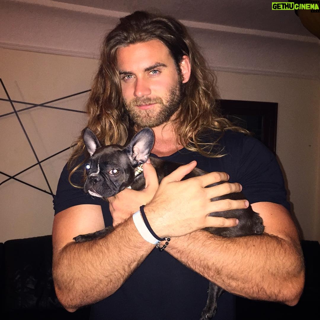 Brock O'Hurn Instagram - I made a new friend Ellie! Only 7 weeks old ππ She's got that look like "Don't take a pic while we're cuddling" Hope you're having a good day! Mine was just made thanks to her π