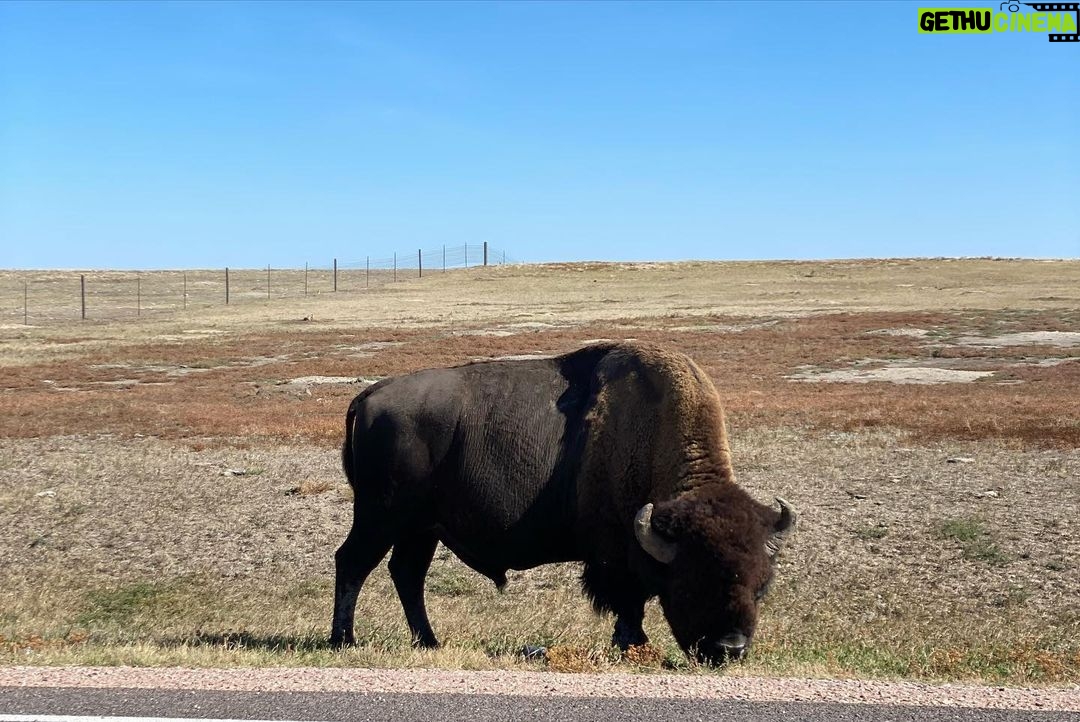 Brooke Ence Instagram - South Dakota was worth the trip #sodak #badlandsnationalpark