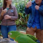 Bruno De Luca Instagram - O @brunodeluca todo 👀 e a @fany.vidal toda 🥹 no Parque das Aves. Equilíbrio é tudo no casal! ❤️😂 Confira hoje às 18h o último episódio da temporada do #VaiPraOndeComMozão na TV
