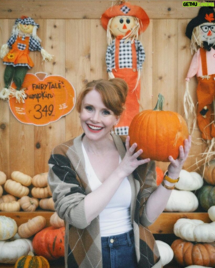 Bryce Dallas Howard Instagram - Hey, October 😉🍂⁣⁣ ⁣⁣ 📸: @andiejjane⁣⁣ ⁣⁣ [ID: BDH playfully poses in front of a display at @traderjoes with pumpkins of all different shapes, sizes, and colors. In full autumn vibes, she wears navy blue jeans, a white t-shirt, and a beige and brown cardigan. 3 smiling scarecrows hang on the wall in the back.]⁣