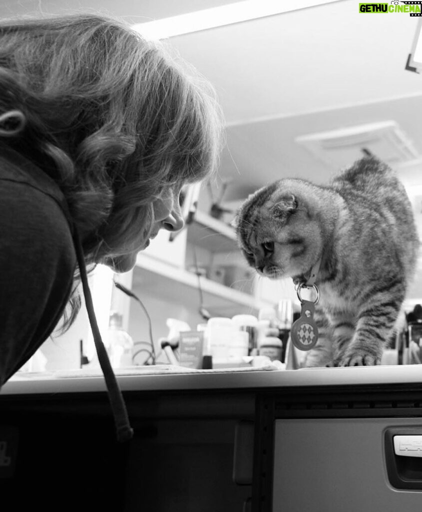 Bryce Dallas Howard Instagram - Don’t let the cat out of the bag — #ArgylleMovie is in theaters in ONE MONTH!⁣⁣ ⁣⁣ [ID: A black & white photo of BDH and Chip inside of a trailer on the set of Argylle. Chip, perched on the countertop, lovingly leans his head toward BDH who does the same.]