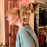 Bryce Dallas Howard Instagram – Cats asserting dominance over the Howards 🐱⁣
⁣
[ID: Ginger cats Lily & Bruno ascend to their throne on the backs of BDH and Ron Howard]