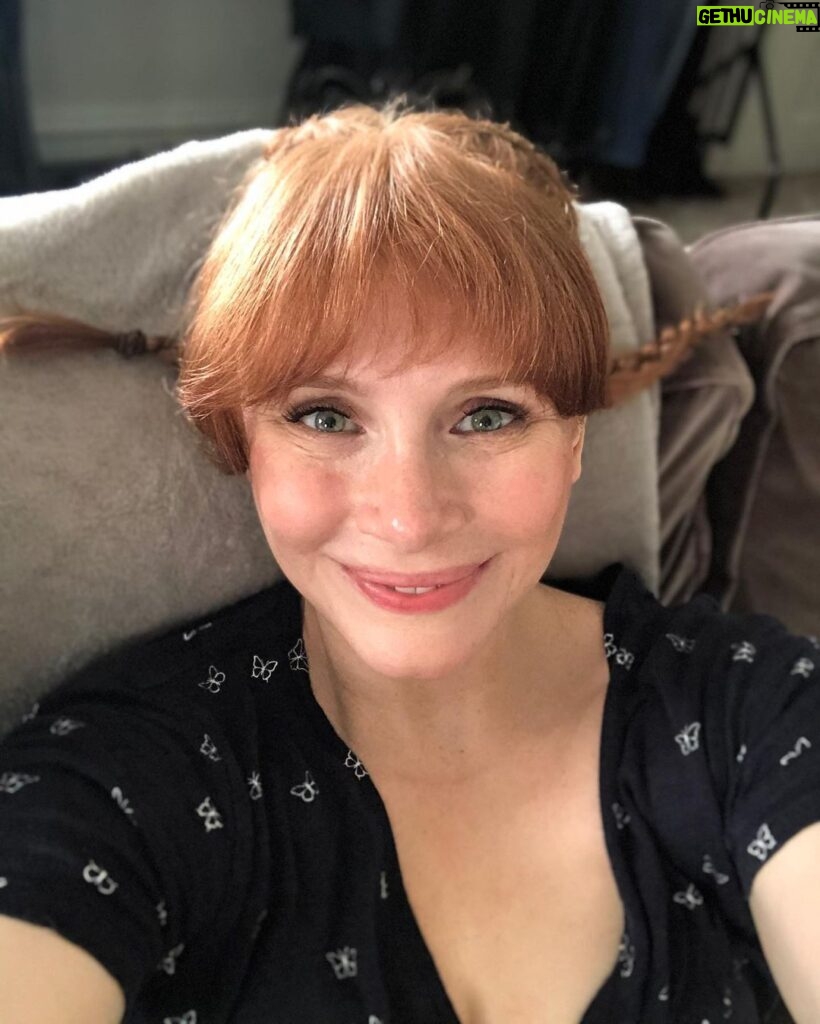 Bryce Dallas Howard Instagram - Getting ready for Halloween 🎃 I’ve been #PippiLongstocking many times, but the wires always become unmanageable… any tips? ⁣⁣ ⁣⁣ [ID: Selfies of BDH with French Braids, by Charlie Rogers, perpendicular to her head, Pippi Longstocking style]