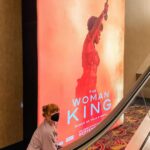 Bryce Dallas Howard Instagram - All hail #TheWomanKing 🧡 Congratulations to the WARRIORS who brought this extraordinary film to life. The POWER of @womankingmovie is unparalleled — from the incredible action sequences to the deeply affecting performances to the sheer CINEMA of it all. This was an unforgettable experience and I am in such awe. Online family, do not miss out on this movie!! It’s not every day that our lives are changed and that’s what The Woman King has the power to do. Support Black women and exceptional storytelling at the box office and get your tickets TODAY 👑⁣ ⁣ [ID 1-2: BDH kneels before a massive poster for “The Woman King” at AMC Theater. On the poster, Viola Davis as Nanisca powerfully raises a machete above her head]⁣ ⁣ [ID 3: About to watch one of her new favorite films, BDH points at the AMC movie marquee for a screening of “The Woman King.” She wears black leggings, a lavender sweater, and her hair in two twisted buns]