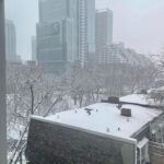 Bryce Dallas Howard Instagram – Views from beautiful, magical Toronto — it’s beginning to feel a lot like the holiday season ❤️ ⁣
⁣
[ID: Wearing a navy-blue blouse and her hair in curly waves, BDH takes a selfie by a window in her Toronto hotel room. Outside the window, the next morning, is a light dusting of snow across roof tops and trees.]